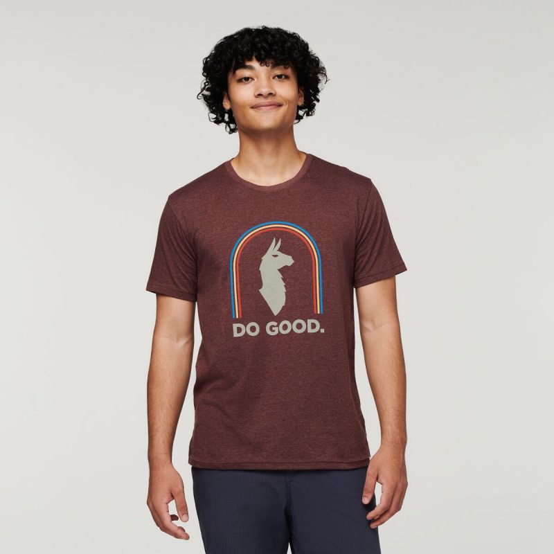 Sunshine Do Good Organic T-Shirt - Men's, Chestnut, Model Xavier