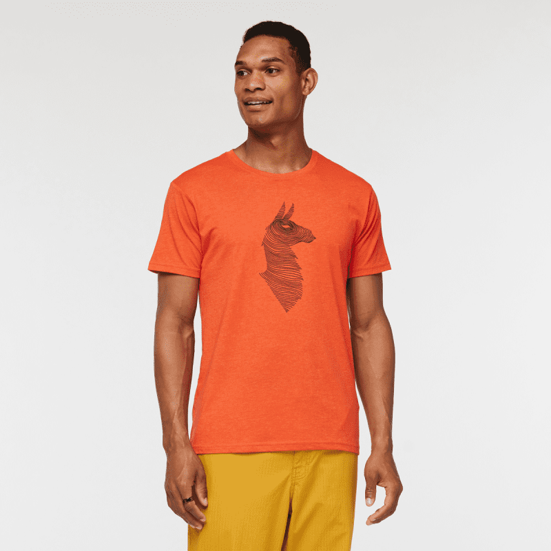 Topo Llama T-Shirt - Men's, Canyon, Model James