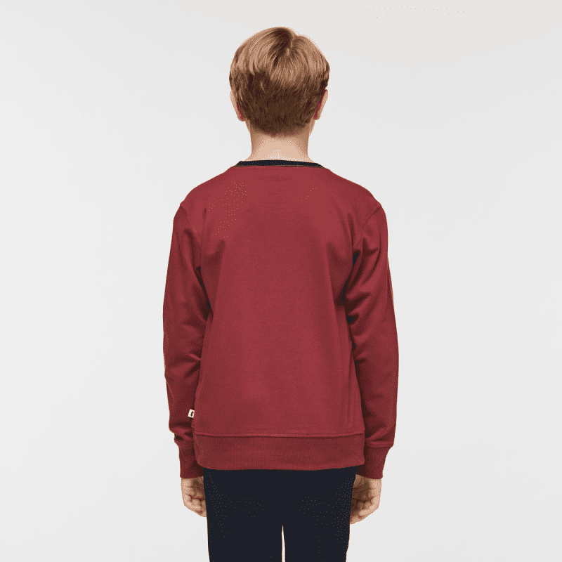 1200x1200png F23KidsDoGoodOrganicCrewSweatshirtBurgundy 3 af6c6bb0 f622 4488 b839 972a0bedca57