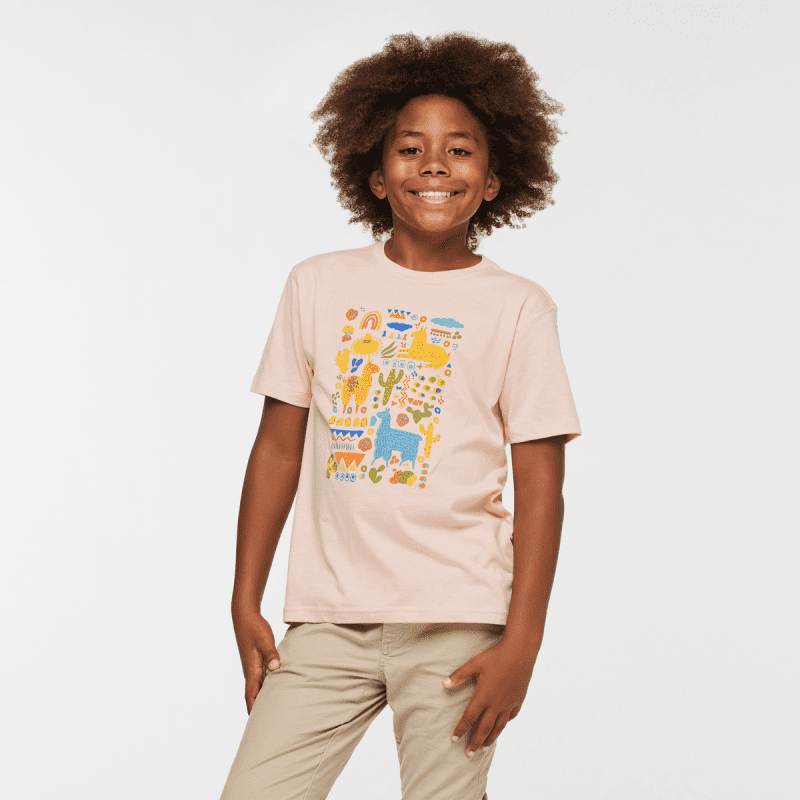 Llama Party Organic T-Shirt - Kids', Rosewood, Model Isaiah