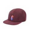 Llama Stripes 5-Panel Hat, Wine