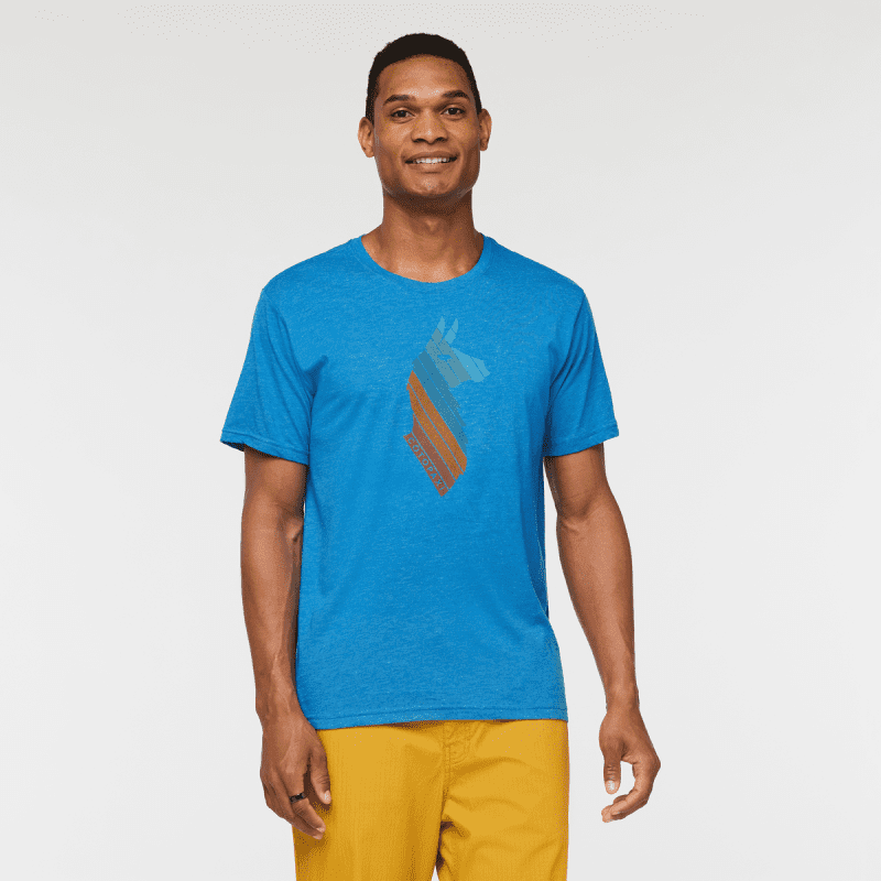 Llama Stripes Organic T-Shirt - Men's, Atlantic, Model Jason