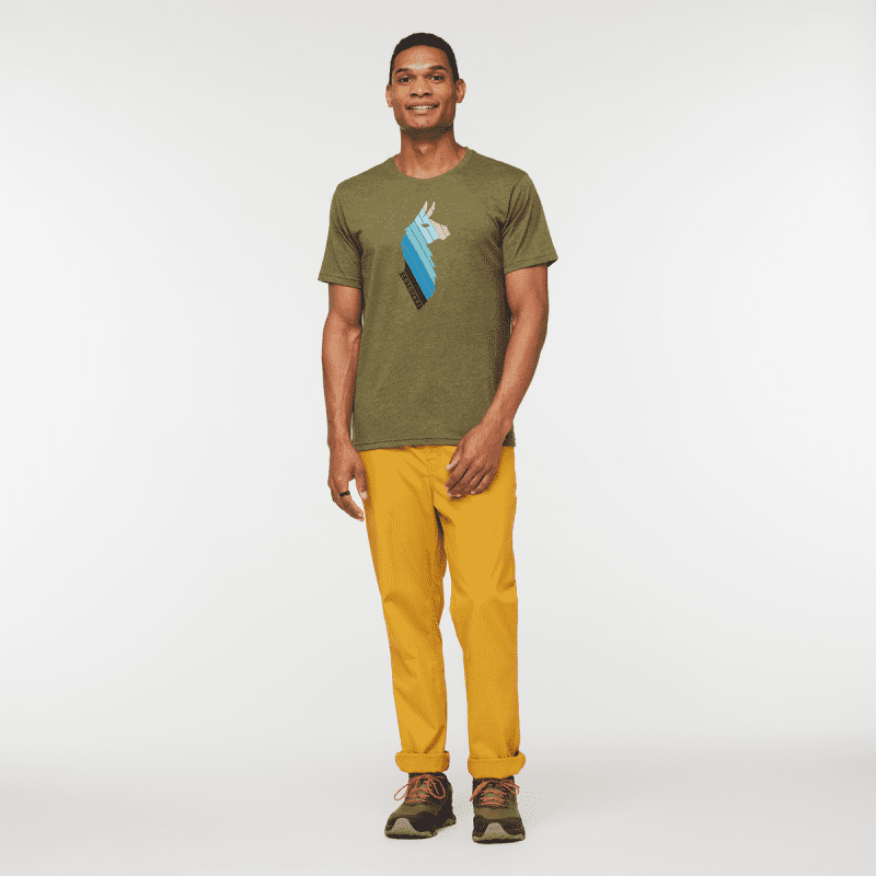 1200x1200png F23MLlamaStripesOrganicTShirtPine 1