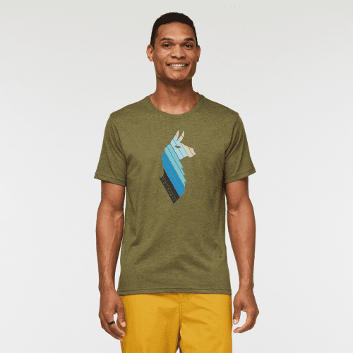 Llama Stripes Organic T-Shirt - Men's, Pine, Model Jason