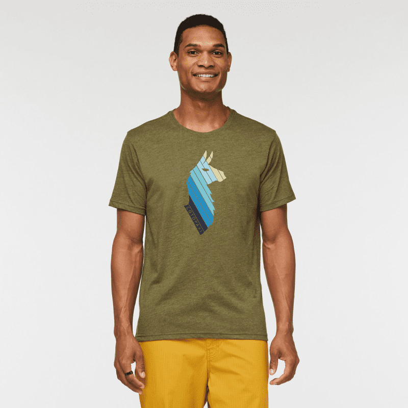 Llama Stripes Organic T-Shirt - Men's, Pine, Model Jason