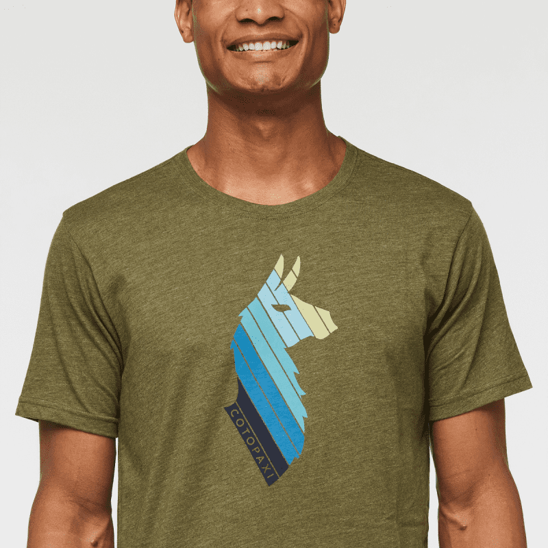 1200x1200png F23MLlamaStripesOrganicTShirtPine 5