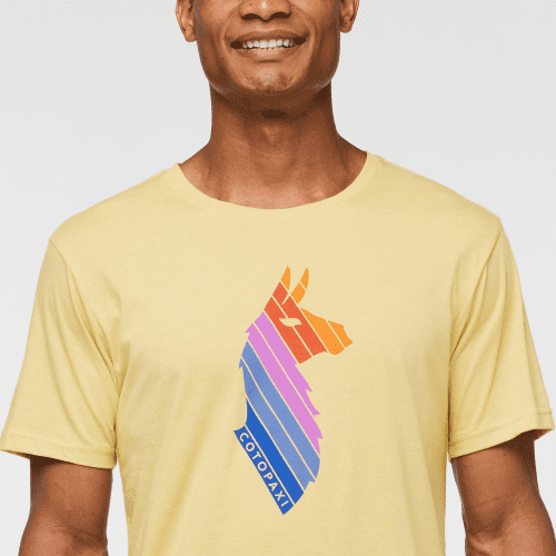 1200x1200png F23MLlamaStripesOrganicTShirtWheat 5