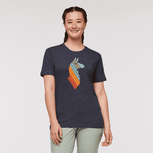 1200x1200png F23WLlamaStripesOrganicTShirtGraphite 2