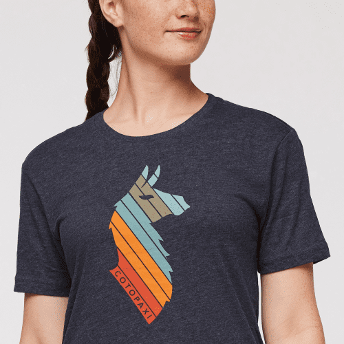 1200x1200png F23WLlamaStripesOrganicTShirtGraphite 5