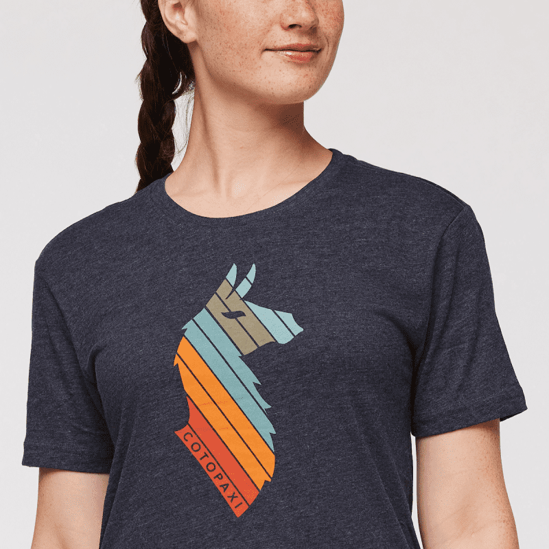 1200x1200png F23WLlamaStripesOrganicTShirtGraphite 5