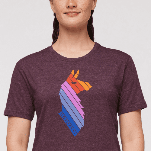 1200x1200png F23WLlamaStripesOrganicTShirtWine 5