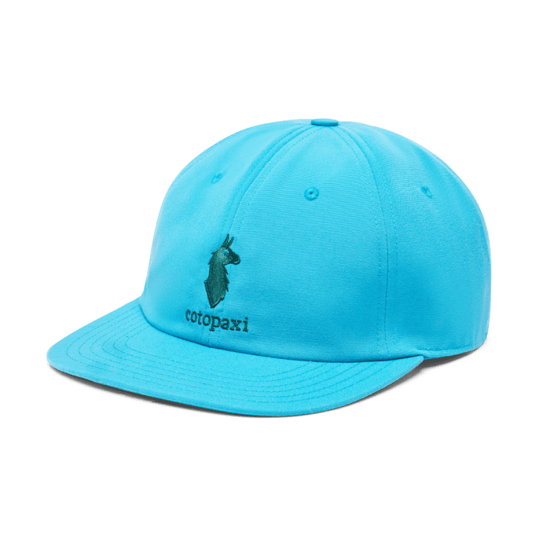 Cotopaxi Dad Hat, Poolside