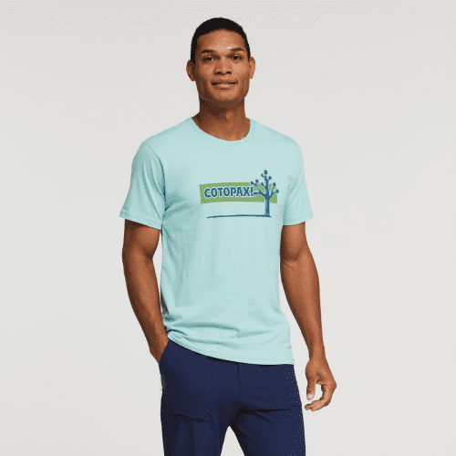 Hello Desert Organic T-Shirt-Men's, Sea Glass, Model Jason