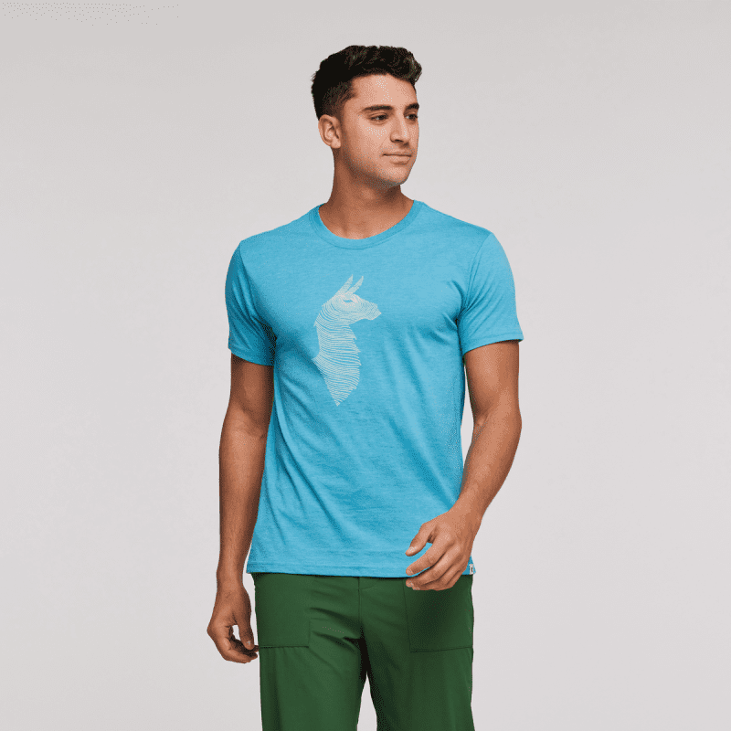 Topo Llama T-Shirt - Men's, Poolside, Model Jeremy