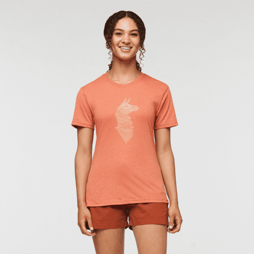 Topo Llama T-Shirt - Women's, Nectar, Model London