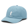 Cotopaxi Dad Hat, Sea Spray