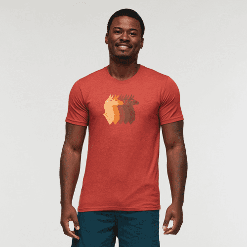 Llama Sequence T-Shirt - Men's, Magma, Model Jeremy