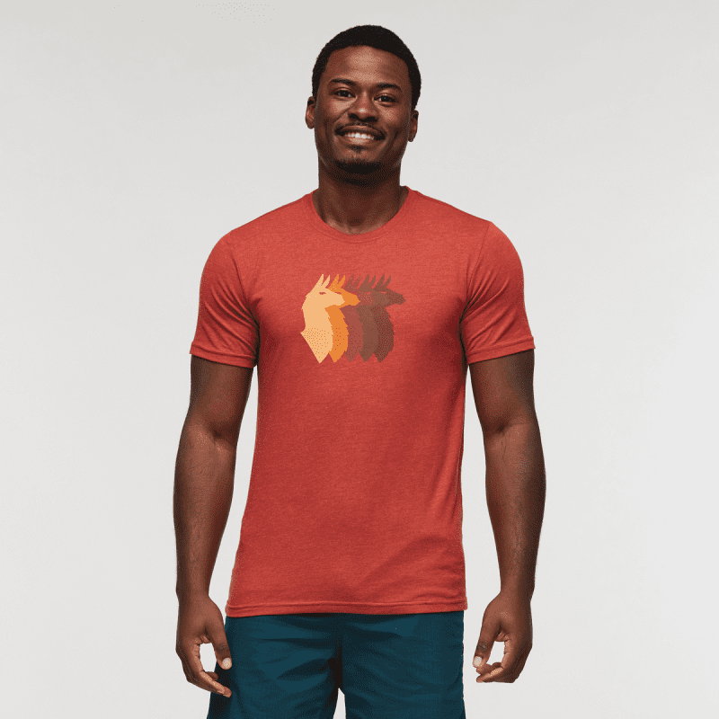 Llama Sequence T-Shirt - Men's, Magma, Model Jeremy