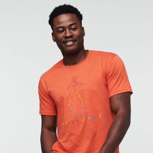 Electric Llama T-Shirt - Men's, Canyon