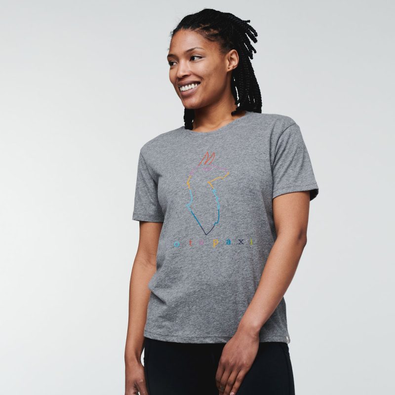 Electric Llama T-Shirt - Women's, Heather Grey