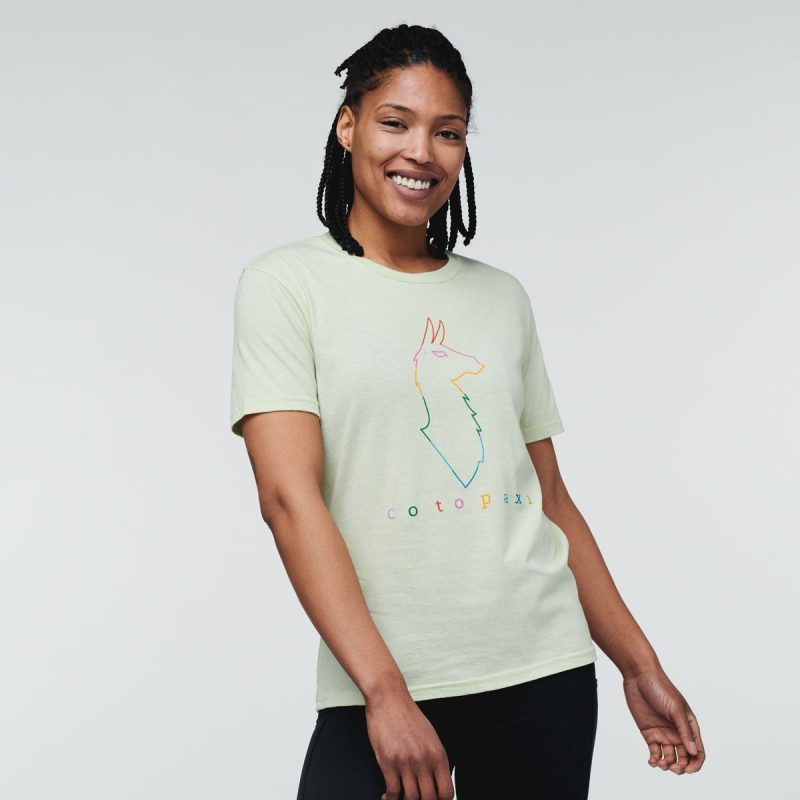 Electric Llama T-Shirt - Women's, Lichen