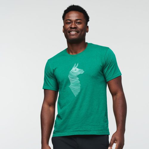 Topo Llama T-shirt - Men's, Verde, Model Jeremy